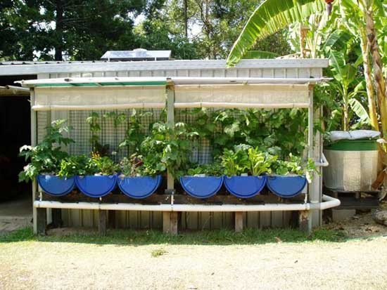 Easy Diy Aquaponics System Review – Can Andrew Endres’ Book Work?